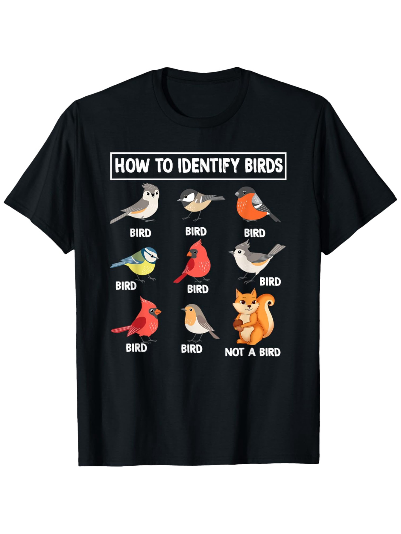 Summer Clothing Pictures - Cara Mengidentifikasi Burung, Non-Burung, Tupai, Gambar